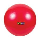 Go Fit® Premium Stability Balls