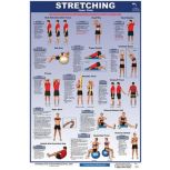 Stretching Posters