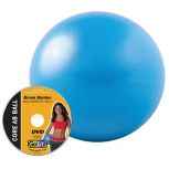 GoFit® Core Ab Ball