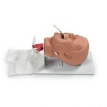 Economy Adult Airway Management Trainer