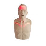 Brayden Pro AED/CPR Manikin