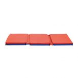 Germ Free 3-Section Rest Mats
