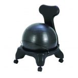 Mobile Ball Chairs