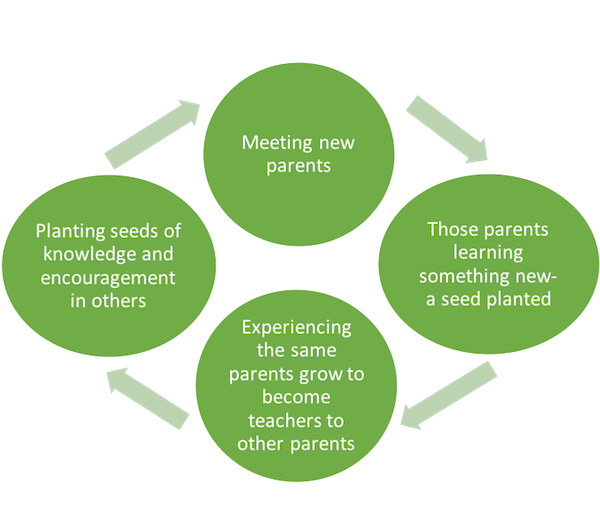 Parent-to-Parent Networking Cycle by R. Ryan