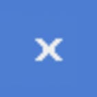 Zoom X Icon